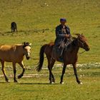 Mongolian sheep herder