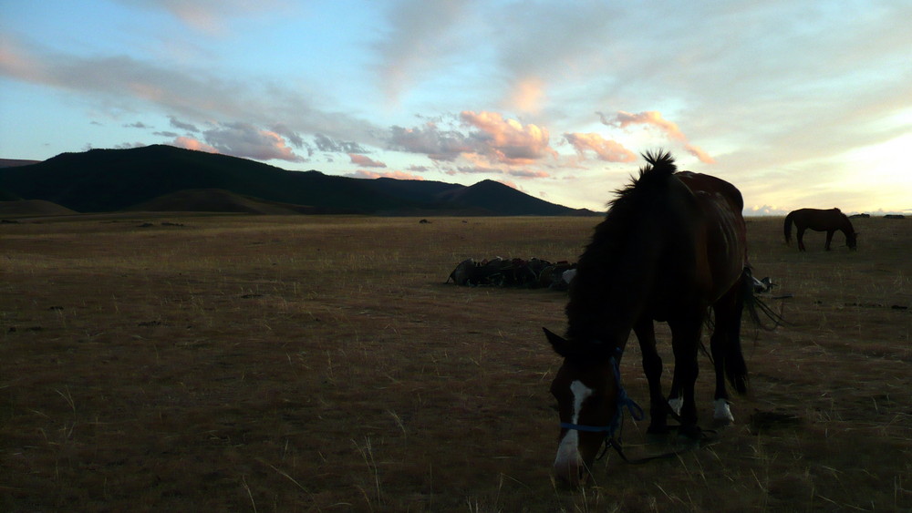 Mongolie la nuit