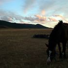 Mongolie la nuit