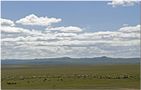 Mongolische Landschaft #2 von Hans Huldi