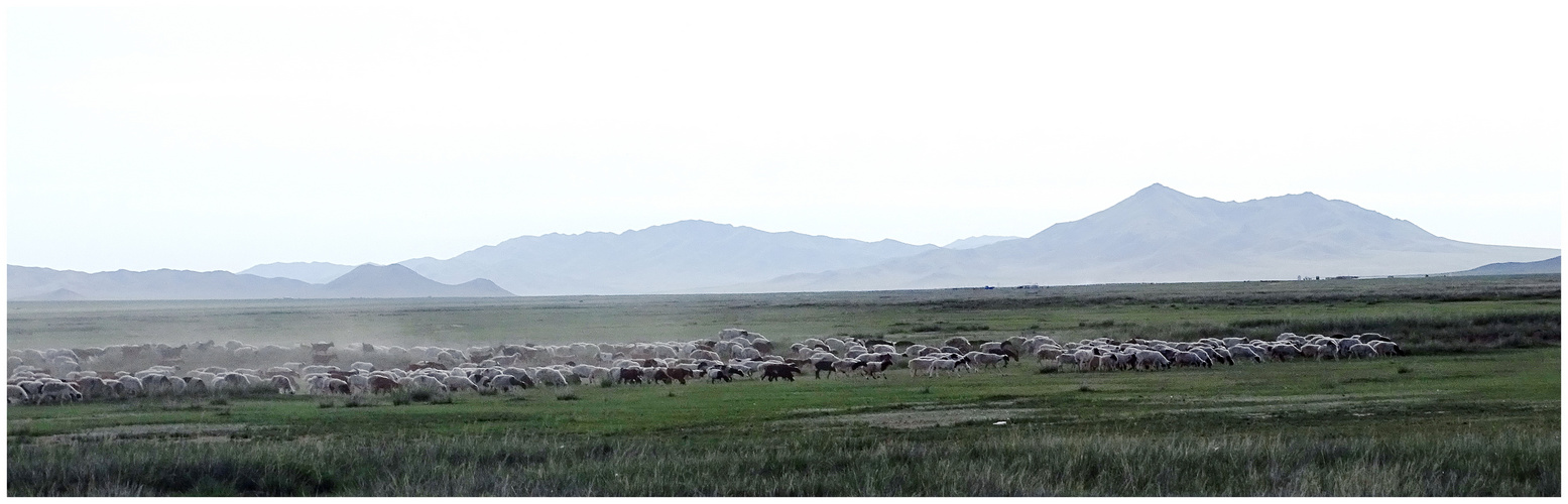 Mongolische Steppe