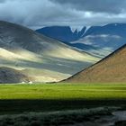 Mongolische Steppe