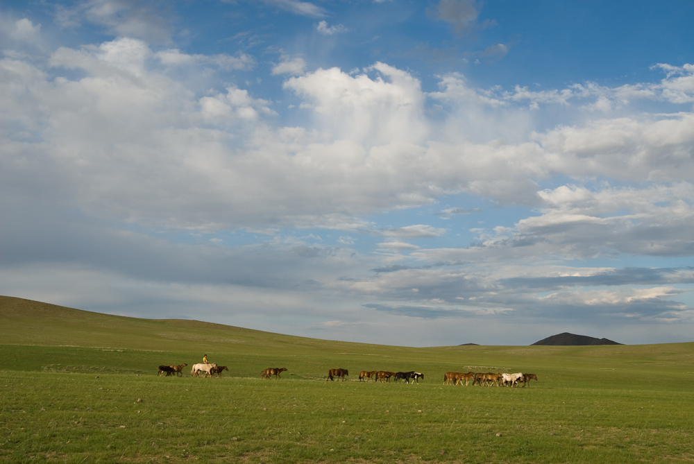 Mongolische Steppe