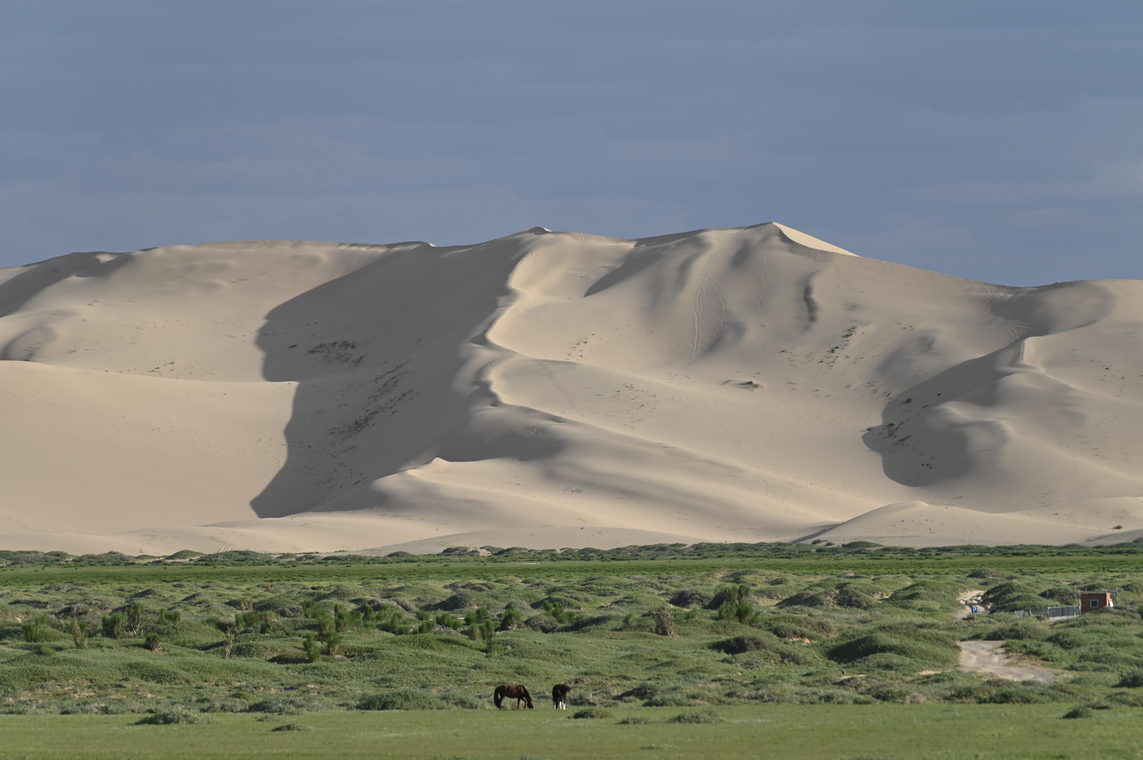 Mongolische Wüste Gobi