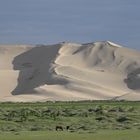 Mongolische Wüste Gobi