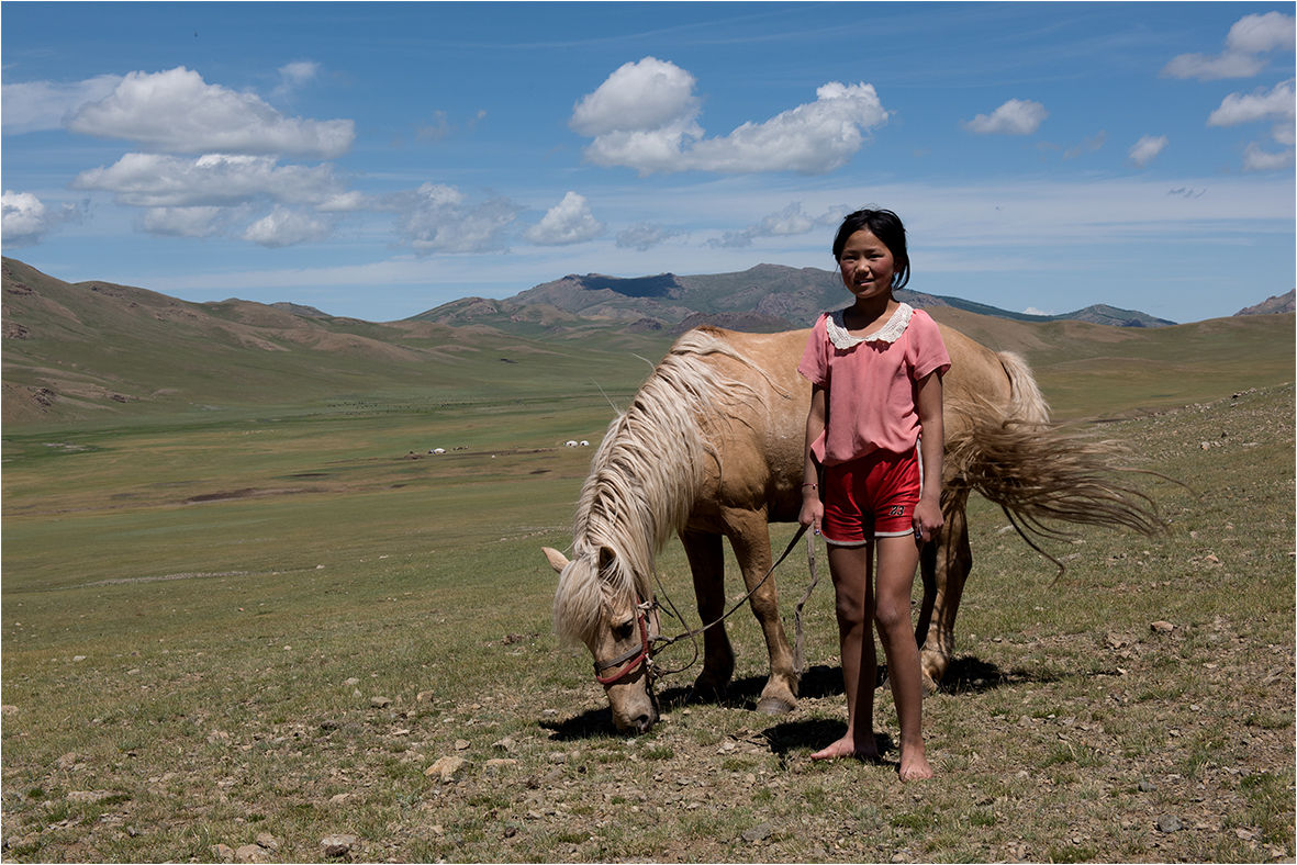 Mongolischer Sommer