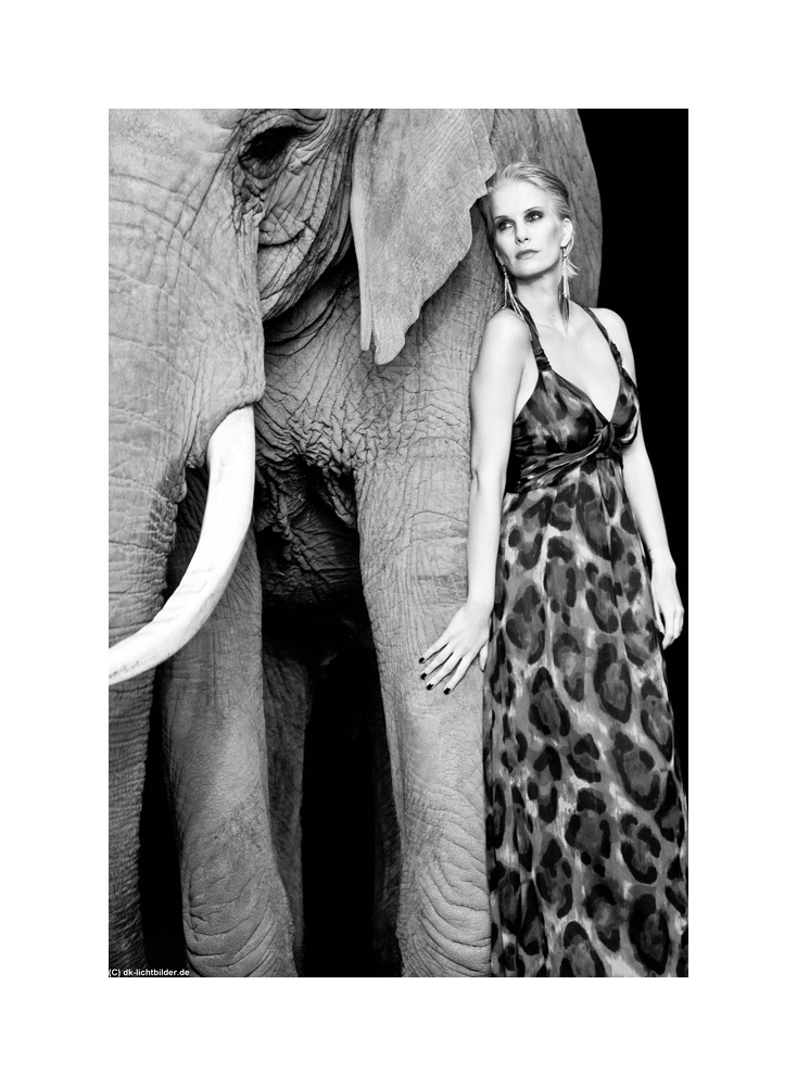 #Monica and the elephant#