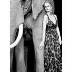 #Monica and the elephant#