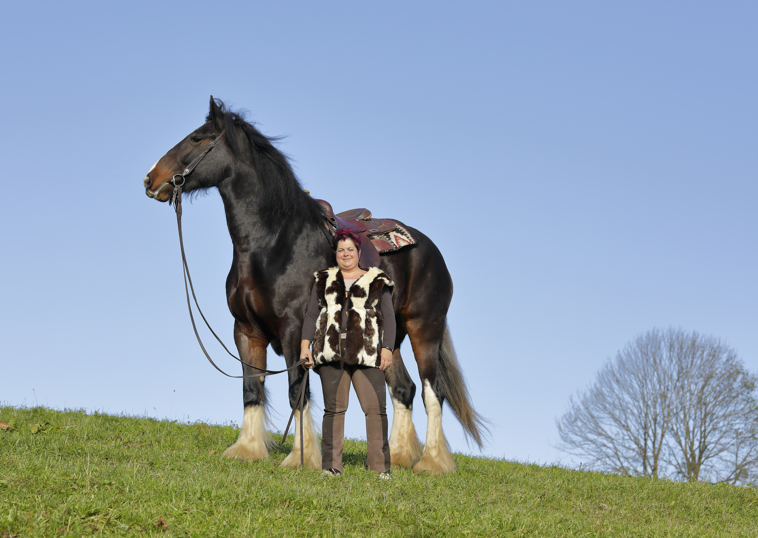 Monika_Überglücklich mit "klein"-XENIA_einem Shire Horse