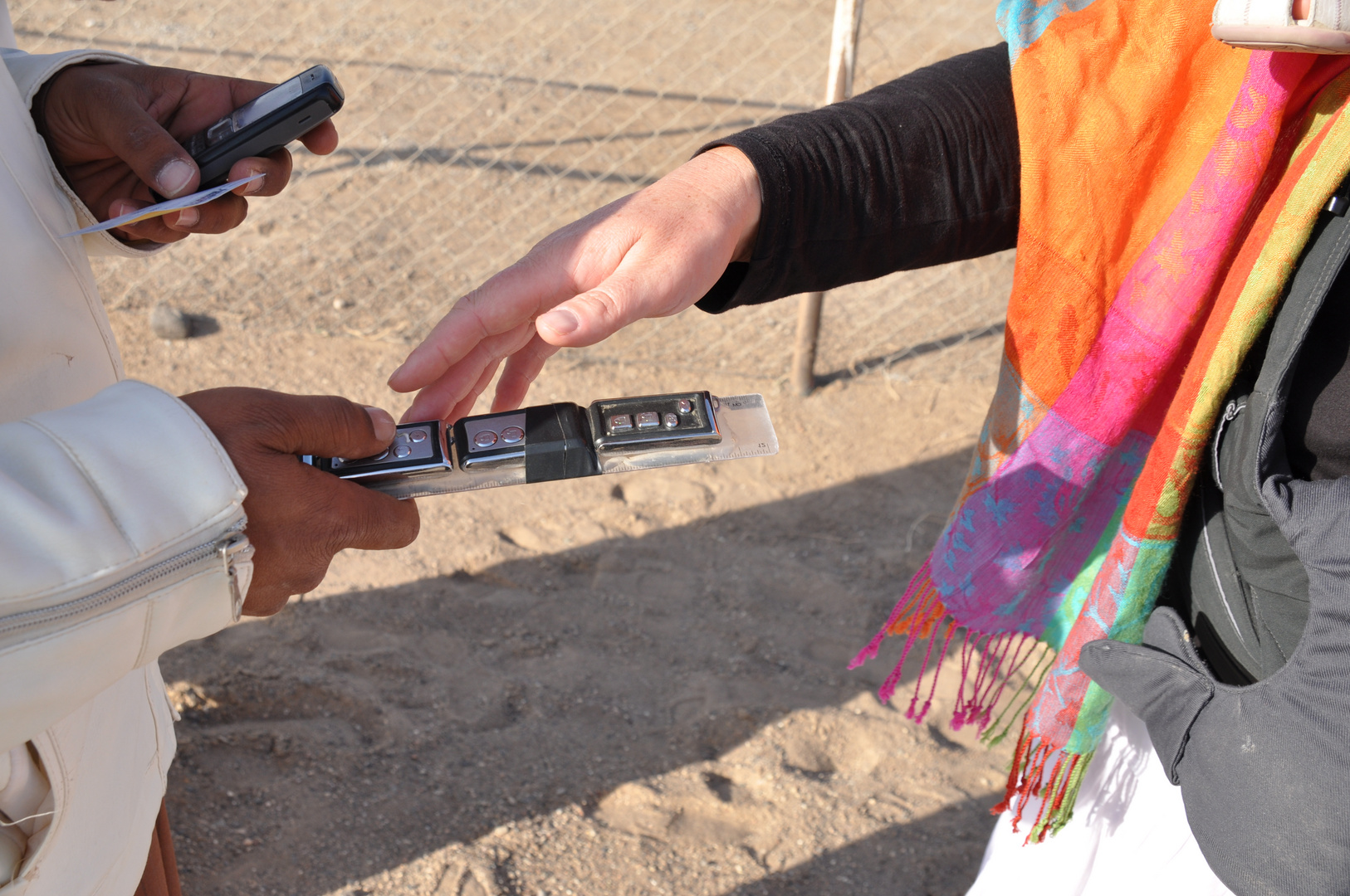 monitoring camels