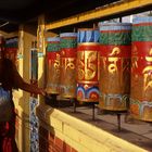 Monje Tibetano en Dharamsala