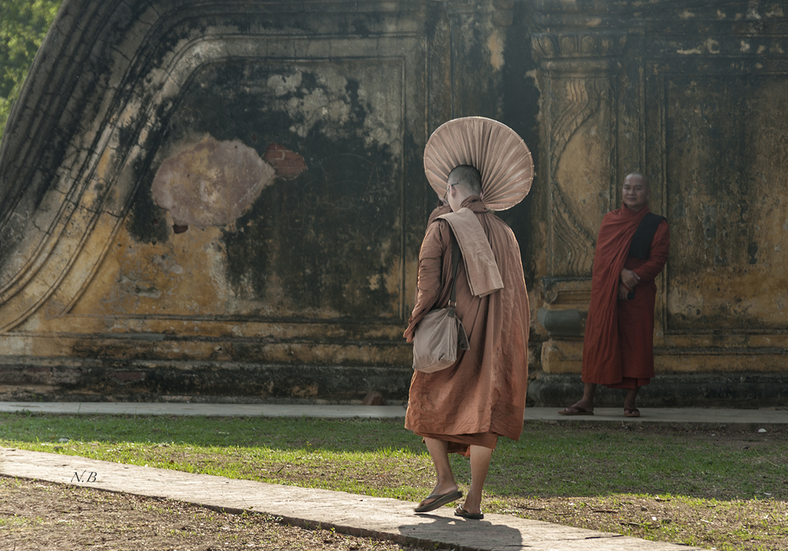 Monjes Budistas.