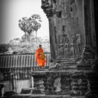 Monk at Angkor Wat