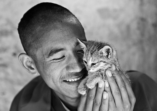 Monk hugging a little cat