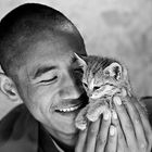 Monk hugging a little cat