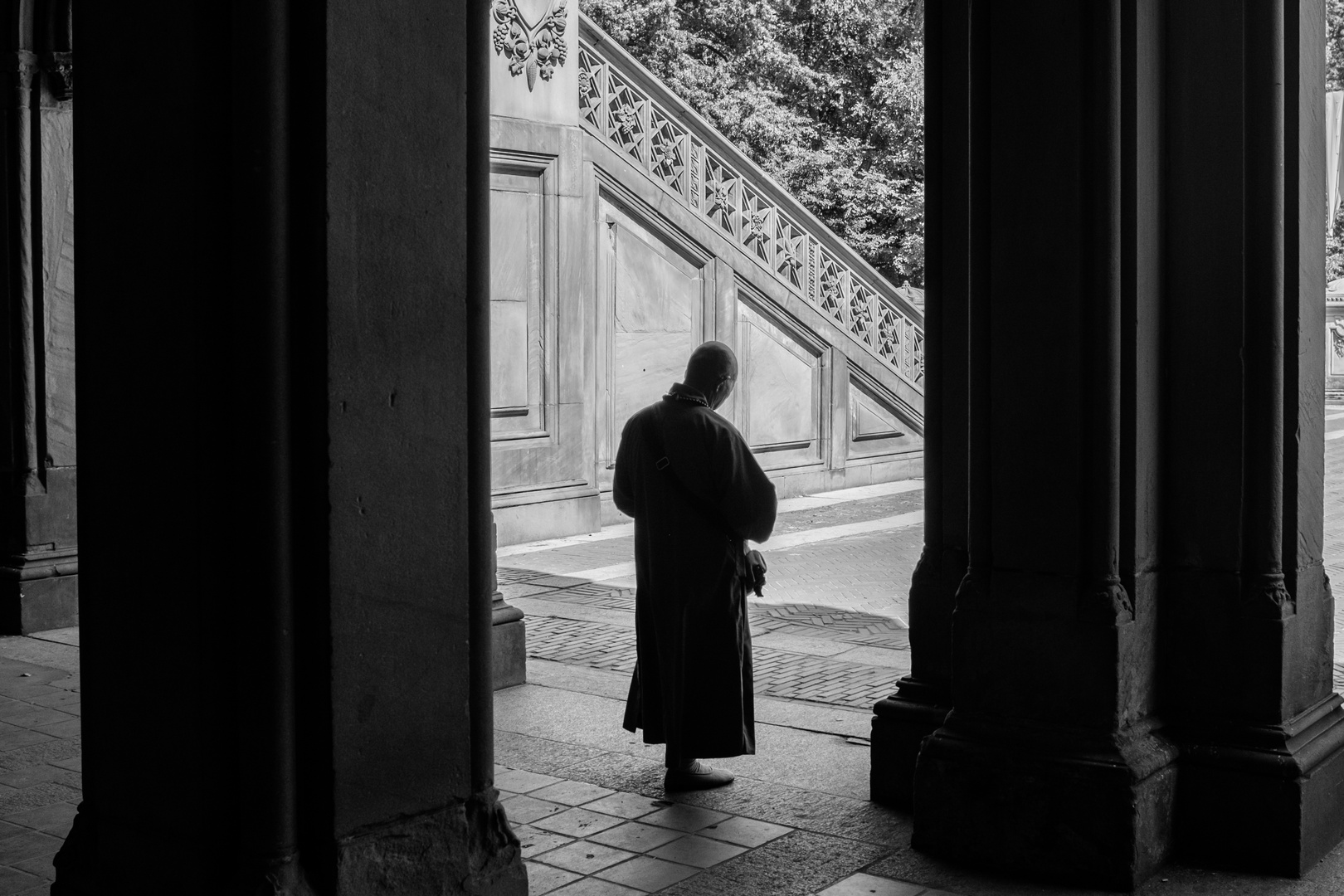 Monk in Central Park