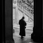 Monk in Central Park