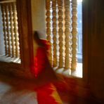 : Monk inside Angkor Wat :