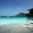 Monkey Beach / Phi Phi