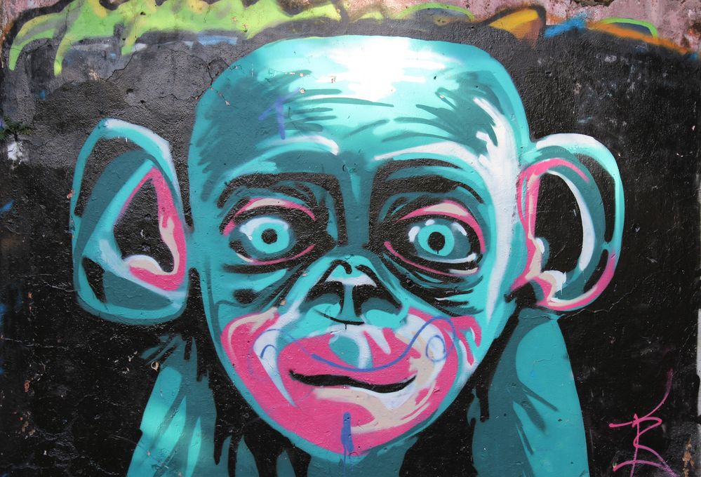 Monkey business - Buenos Aires Street Art