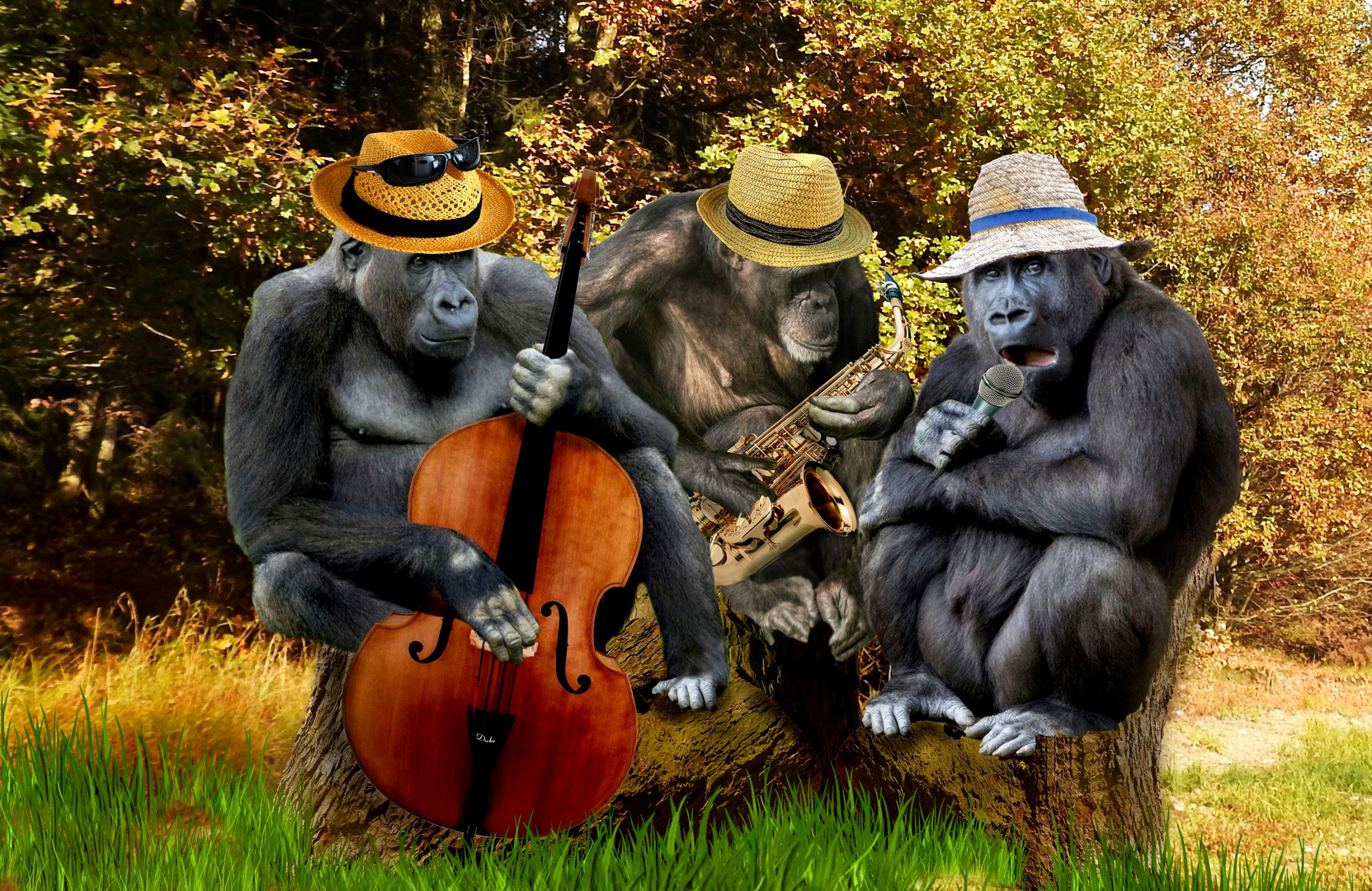 Monkey Combo Band