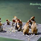 Monkey Day