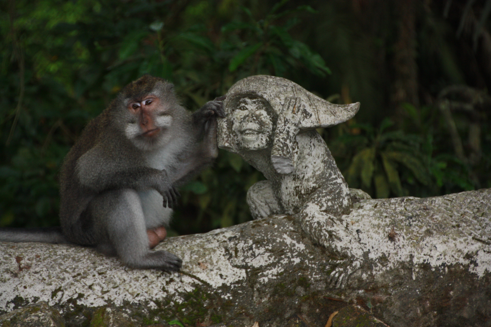 Monkey Forest Ubud