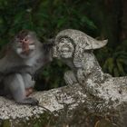 Monkey Forest Ubud