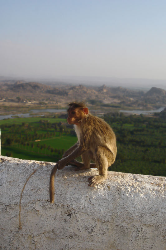 Monkey-Temple