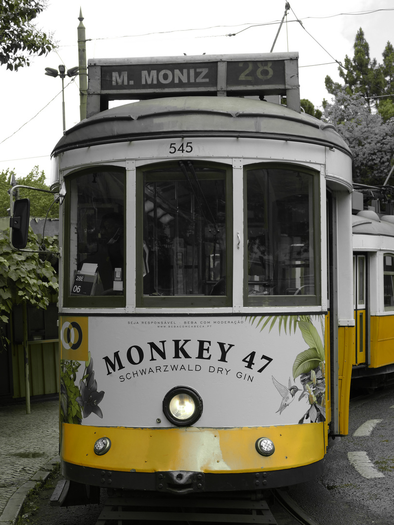 MONKEY TRAM