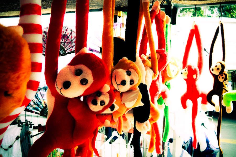 Monkeys