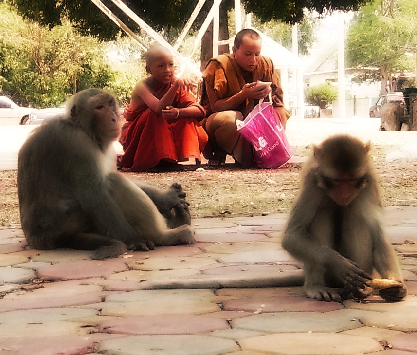 Monkeys and Monks