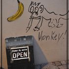 Monkeys - come in