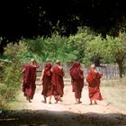 Monks