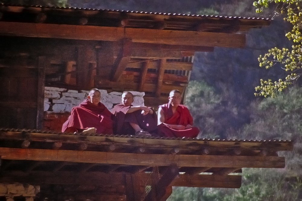 Monks as the audience on the roof top