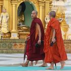 monks at the Shwedagon Pagoda