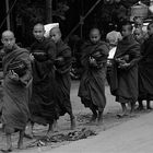 monks, burma 2011