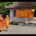 Monks, colours and temples