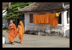Monks, colours and temples