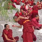 Monks debating in the Sera monastery yard