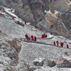 Monks in Red Clothes Walking