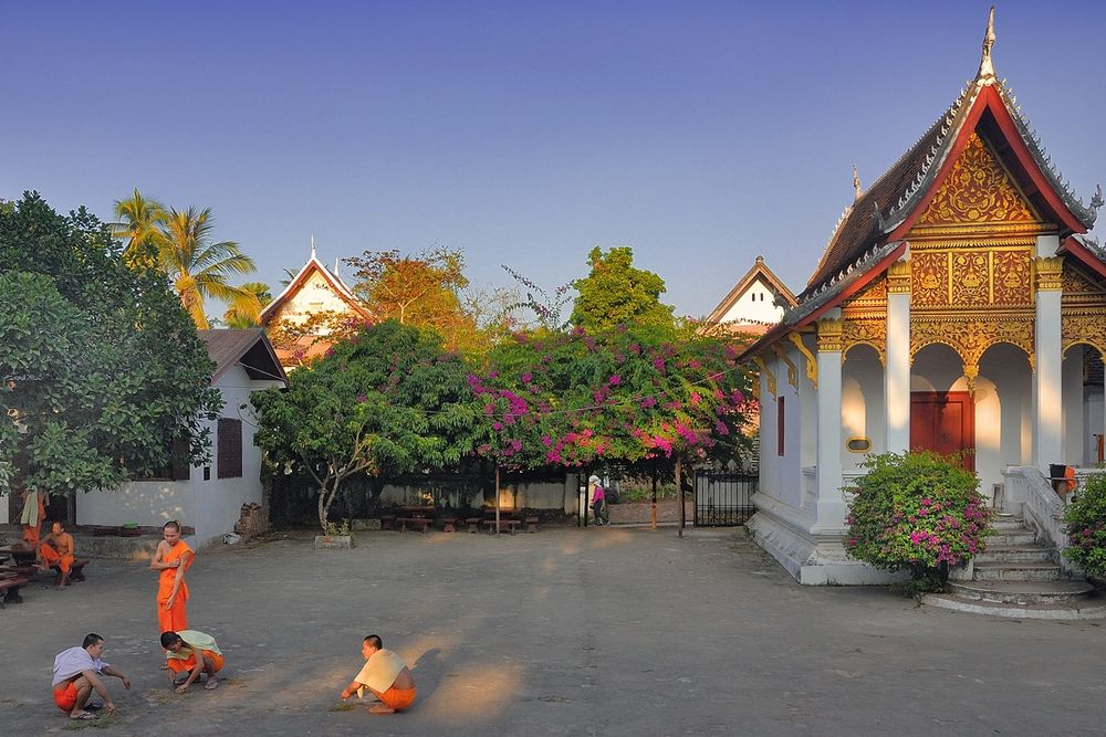 Monks in the yard of Wat Pa Phai