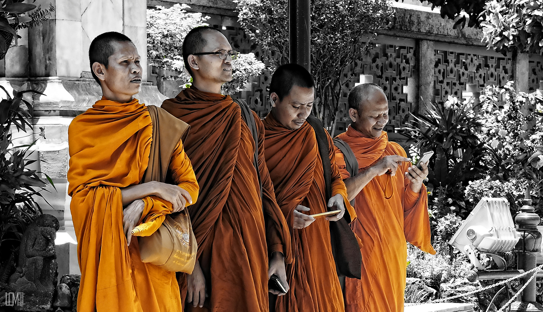 monks of bangkok