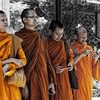 monks of bangkok