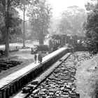 Monks on the Way at Baphuon/Angkor