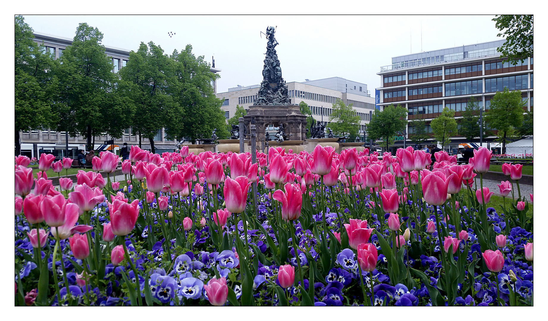 Monnem - Blütenpracht auf dem Paradeplatz