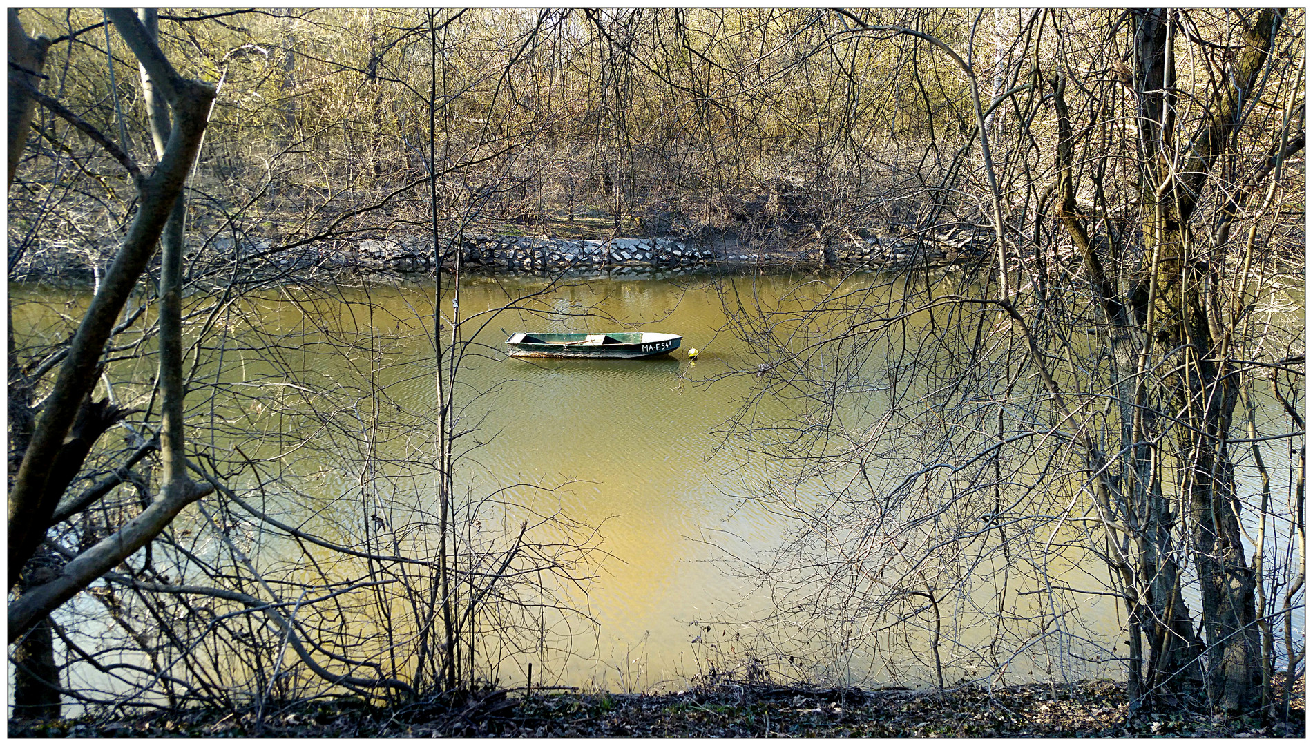 Monnem - im Waldpark gegenüber der Reißinsel