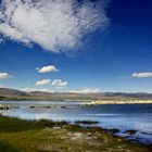 Mono Lake