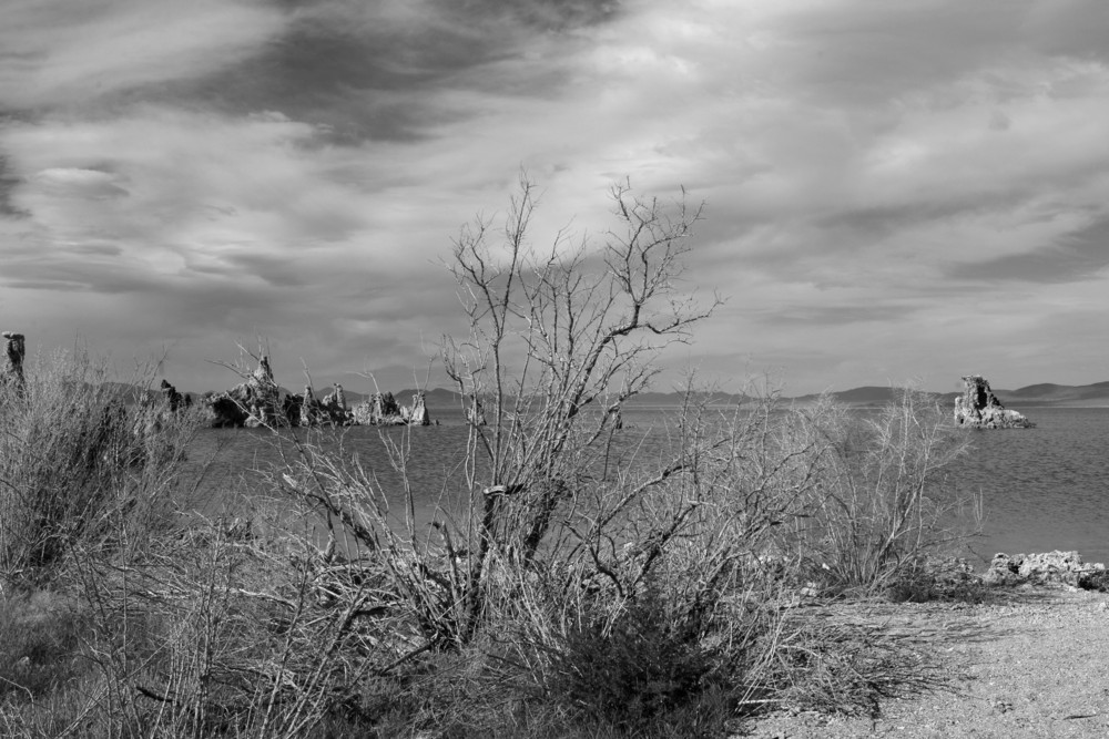 Mono Lake