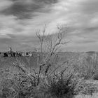 Mono Lake